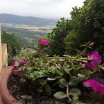 Il Ponticello Chalet Cortona